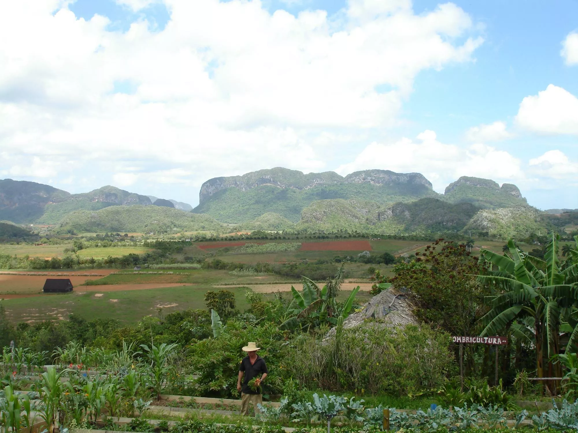 finca-agroecologica-el(2)