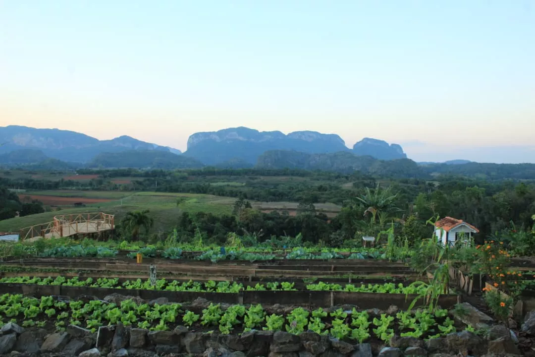 agroturismo