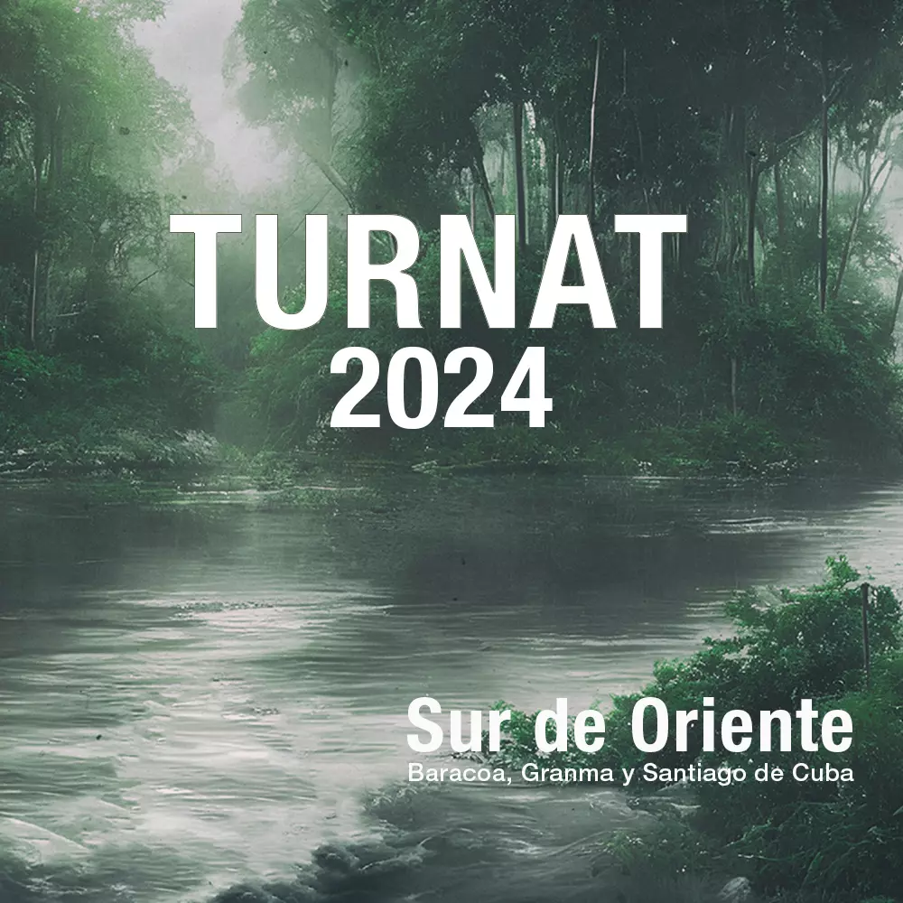 turnat-1000x1000-2