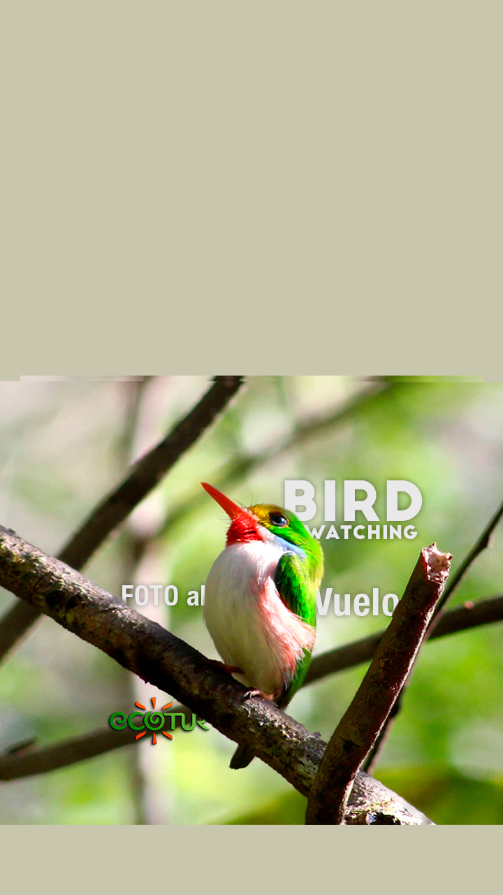 Foto-al-Vuelo-PORTADA