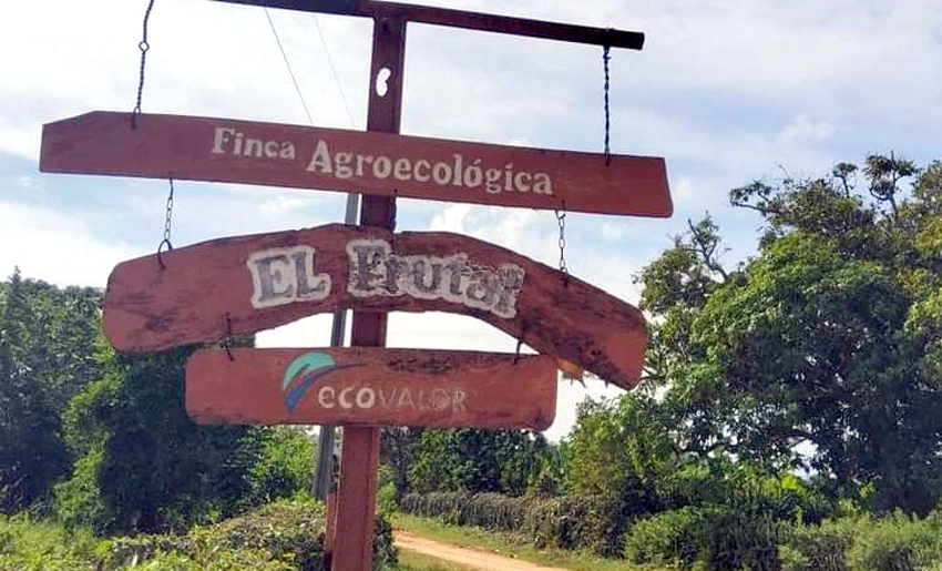 finca-el-frutal-banes-holguin