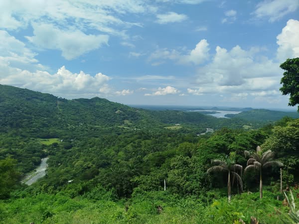 vista-naturaleza