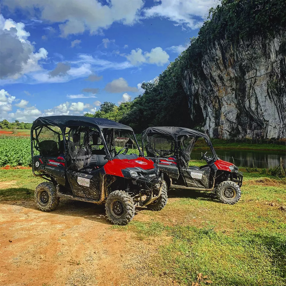 1000x1000px-buggy